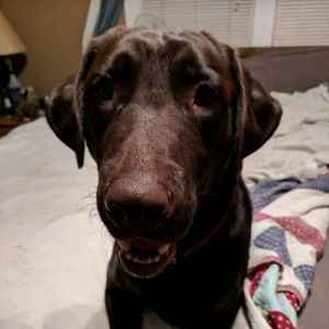 Meet your Posher, Jo